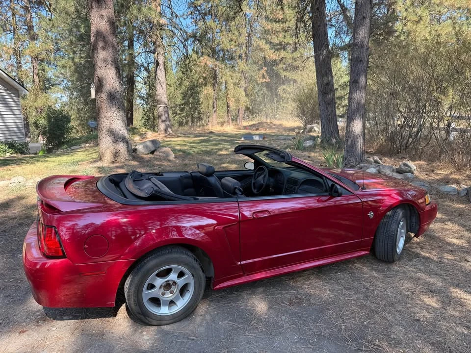 1999 Ford SN95 Mustang - Image 8 of 13