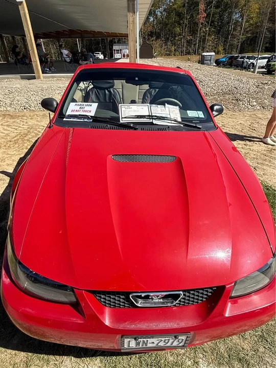 1999 Ford SN95 Mustang - Image 6 of 14