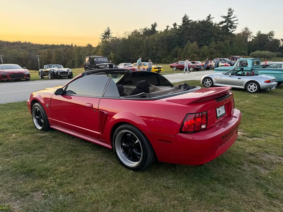 1999 Ford SN95 Mustang - Image 11 of 14