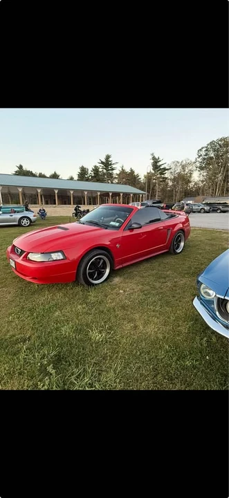 1999 Ford SN95 Mustang - Image 5 of 14