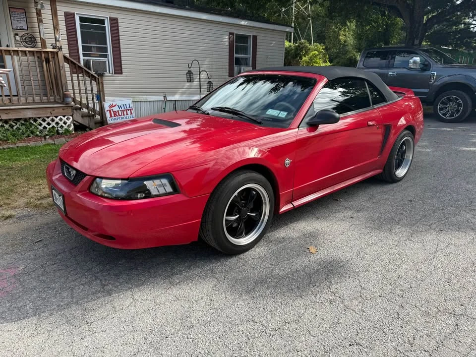 1999 Ford SN95 Mustang - Image 13 of 14