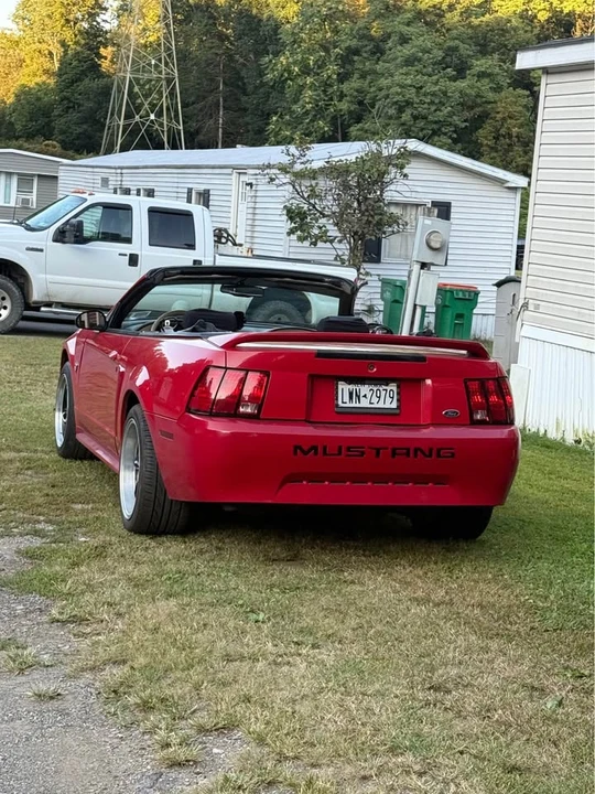 1999 Ford SN95 Mustang - Image 12 of 14