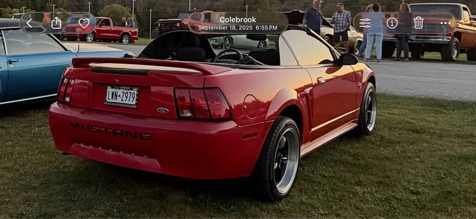1999 Ford SN95 Mustang - Image 2 of 14