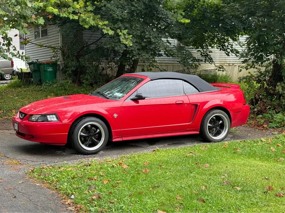 1999 Ford SN95 Mustang - Image 14 of 14