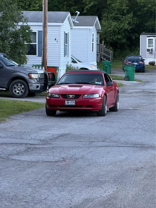 1999 Ford SN95 Mustang - Image 4 of 14