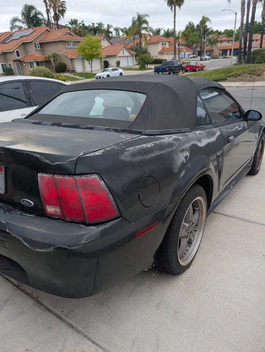 1999 Ford SN95 Mustang - Image 3 of 7