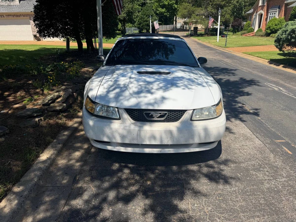 1999 Ford SN95 Mustang - Image 5 of 13