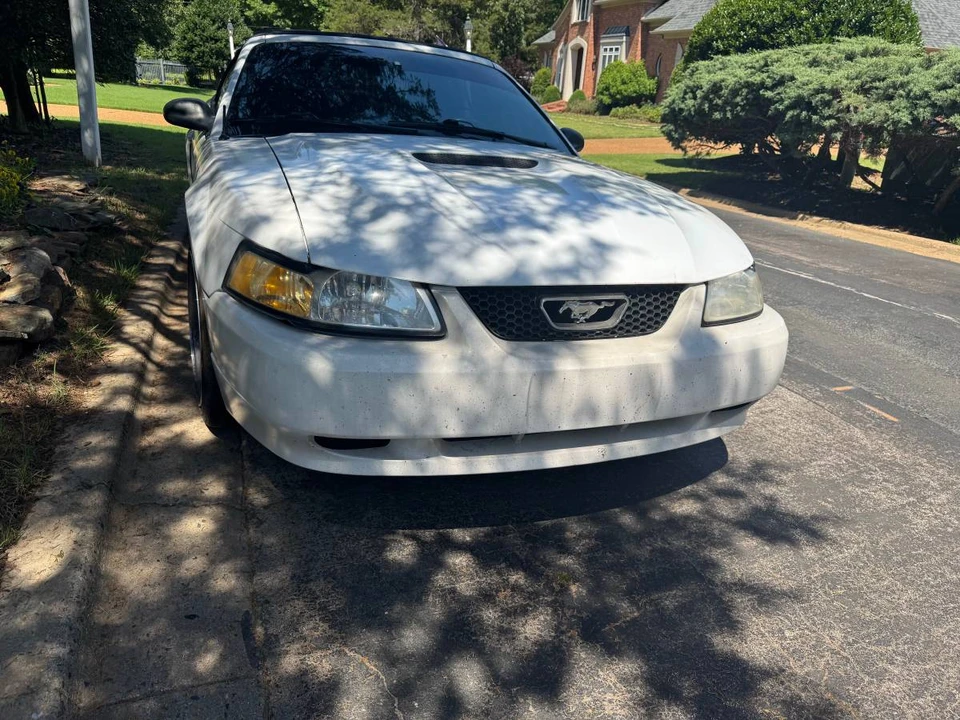 1999 Ford SN95 Mustang - Image 8 of 13