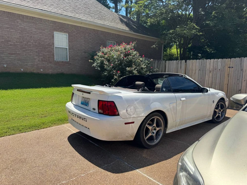 1999 Ford SN95 Mustang - Image 12 of 13
