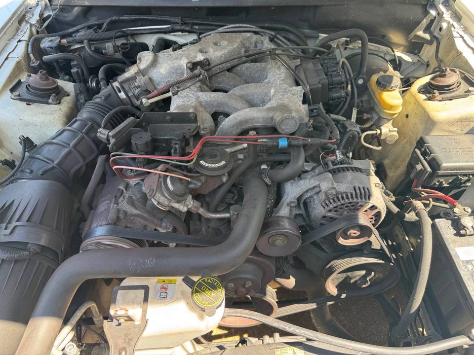 1999 Ford SN95 Mustang - Image 11 of 13