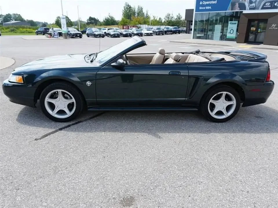 1999 Ford SN95 Mustang - Image 6 of 16