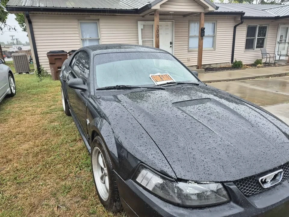 1999 Ford SN95 Mustang - Image 6 of 12