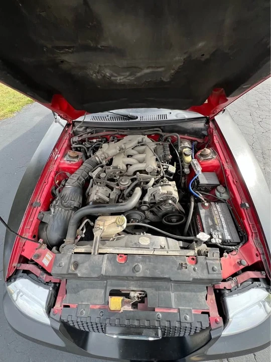 1999 Ford SN95 Mustang - Image 7 of 16
