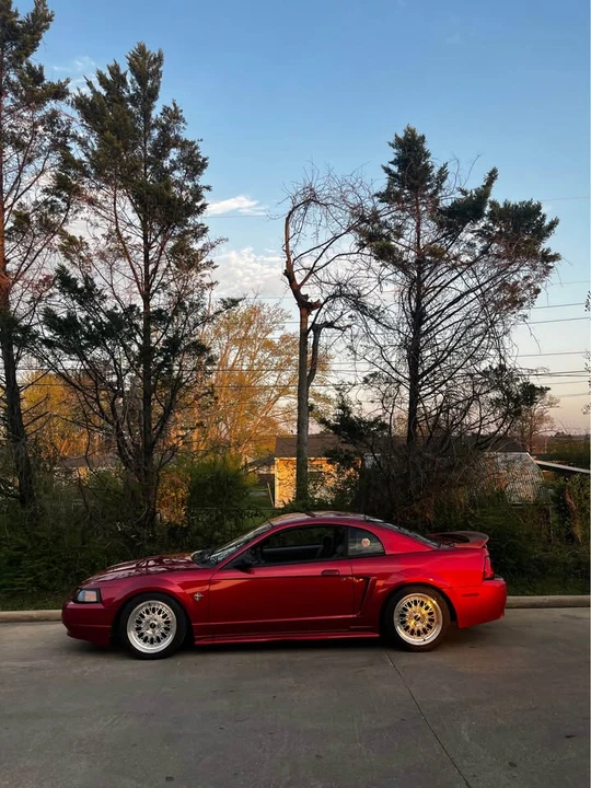 1999 Ford SN95 Mustang - Image 4 of 5