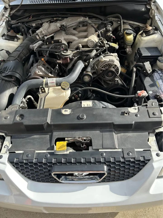 1999 Ford SN95 Mustang - Image 5 of 6