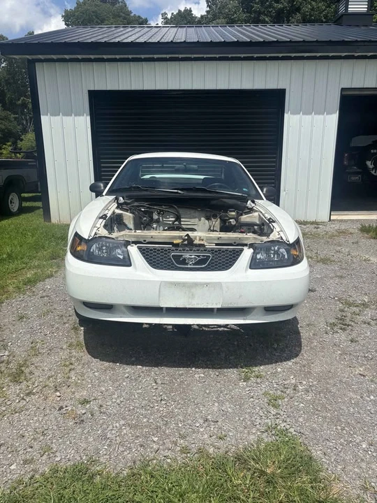 1999 Ford SN95 Mustang - Image 8 of 10