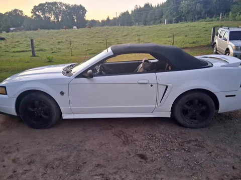1999 Ford Mustang Coupe 2D