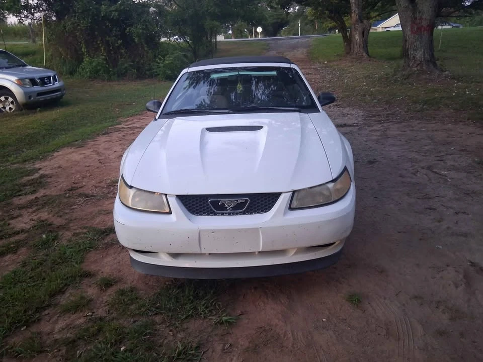 1999 Ford SN95 Mustang - Image 2 of 4