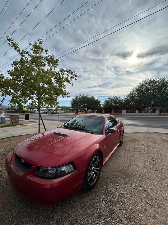 1999 Ford SN95 Mustang - Image 3 of 11
