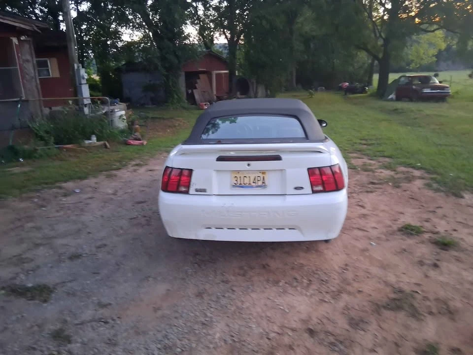1999 Ford SN95 Mustang - Image 3 of 4