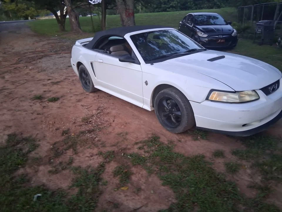 1999 Ford SN95 Mustang - Image 4 of 4