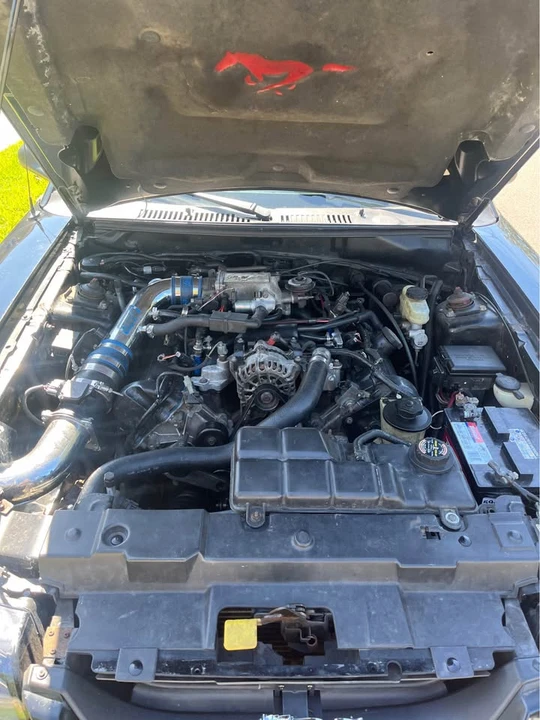 1999 Ford SN95 Mustang - Image 5 of 14
