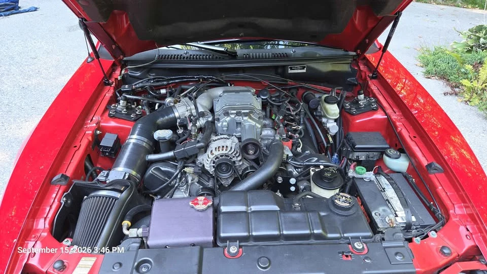 1999 Ford SN95 Mustang - Image 10 of 20
