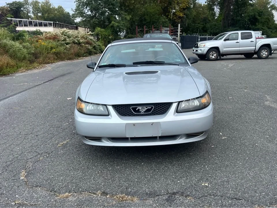 1999 Ford SN95 Mustang - Image 3 of 15