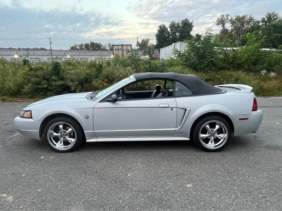 1999 Ford SN95 Mustang - Image 4 of 15