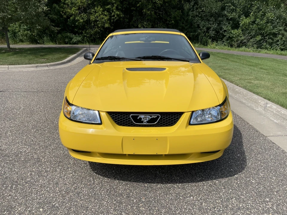 1999 Ford SN95 Mustang - Image 6 of 26