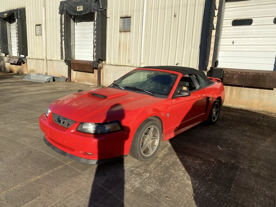 1999 Ford SN95 Mustang - Image 4 of 20