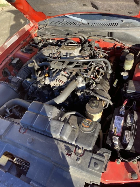 1999 Ford SN95 Mustang - Image 14 of 20