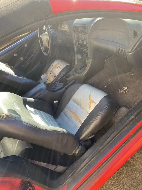 1999 Ford SN95 Mustang - Image 16 of 20