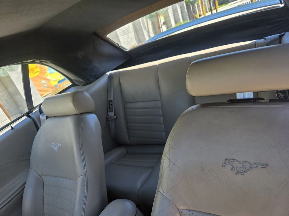 1999 Ford SN95 Mustang - Image 8 of 13