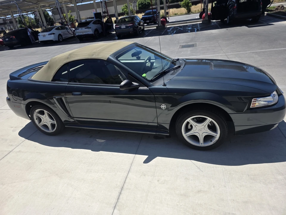 1999 Ford SN95 Mustang - Image 12 of 13