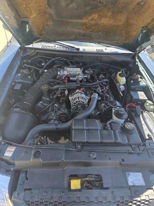 1999 Ford SN95 Mustang - Image 5 of 13