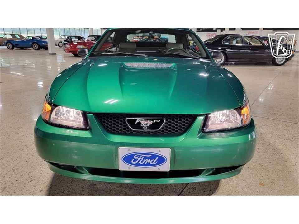 1999 Ford SN95 Mustang - Image 18 of 31