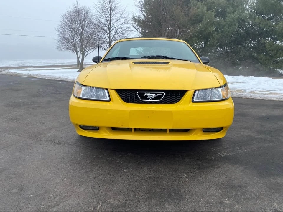 1999 Ford SN95 Mustang - Image 3 of 8