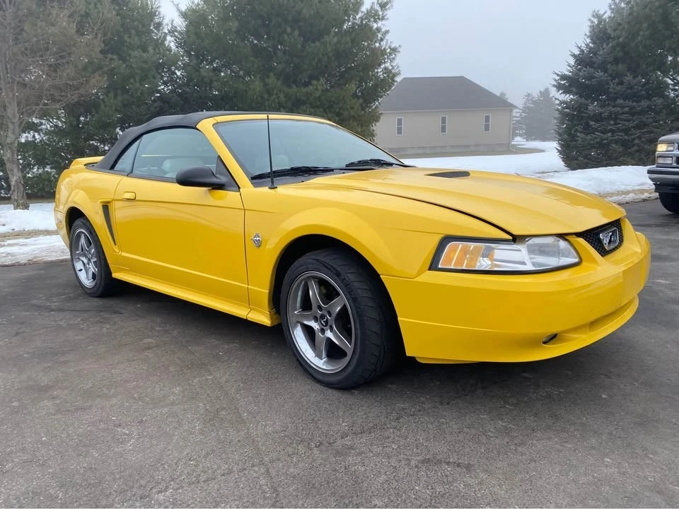1999 Ford SN95 Mustang - Image 2 of 8