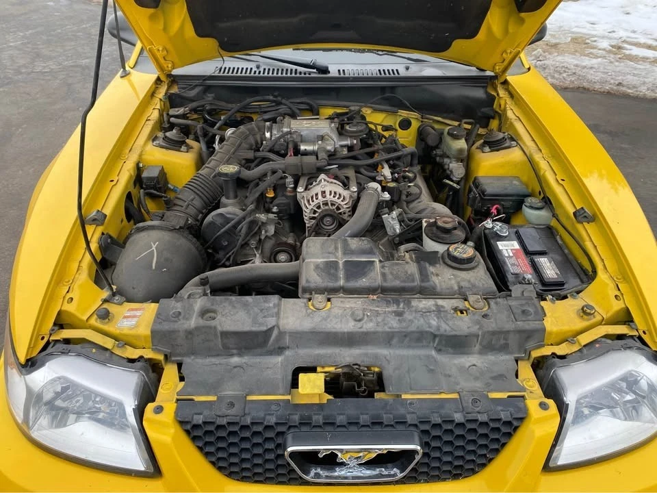 1999 Ford SN95 Mustang - Image 6 of 8