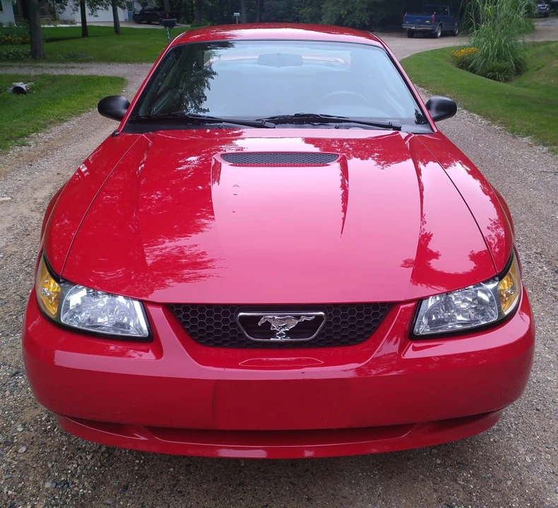 1999 Ford SN95 Mustang - Image 4 of 21