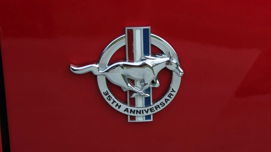 1999 Ford SN95 Mustang - Image 9 of 9