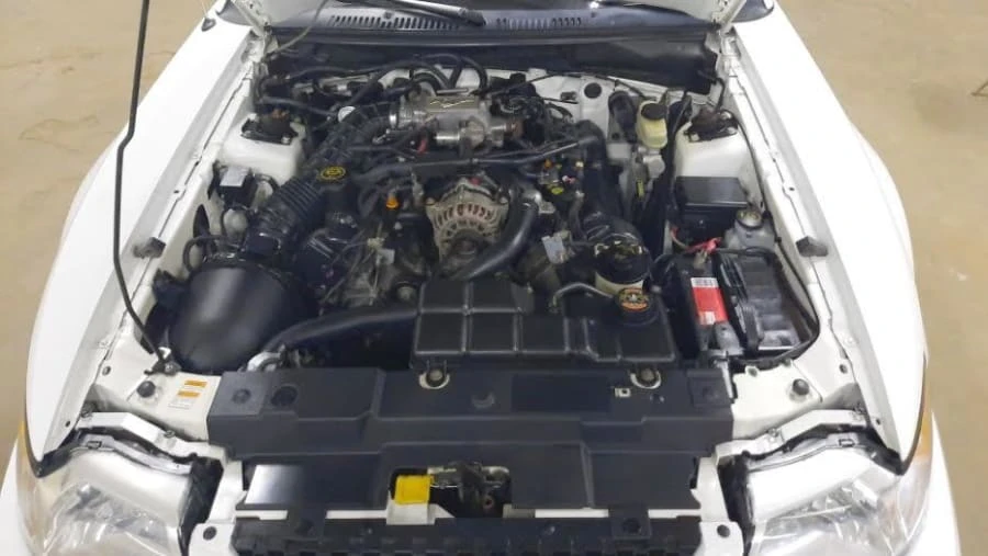 1999 Ford SN95 Mustang - Image 7 of 11