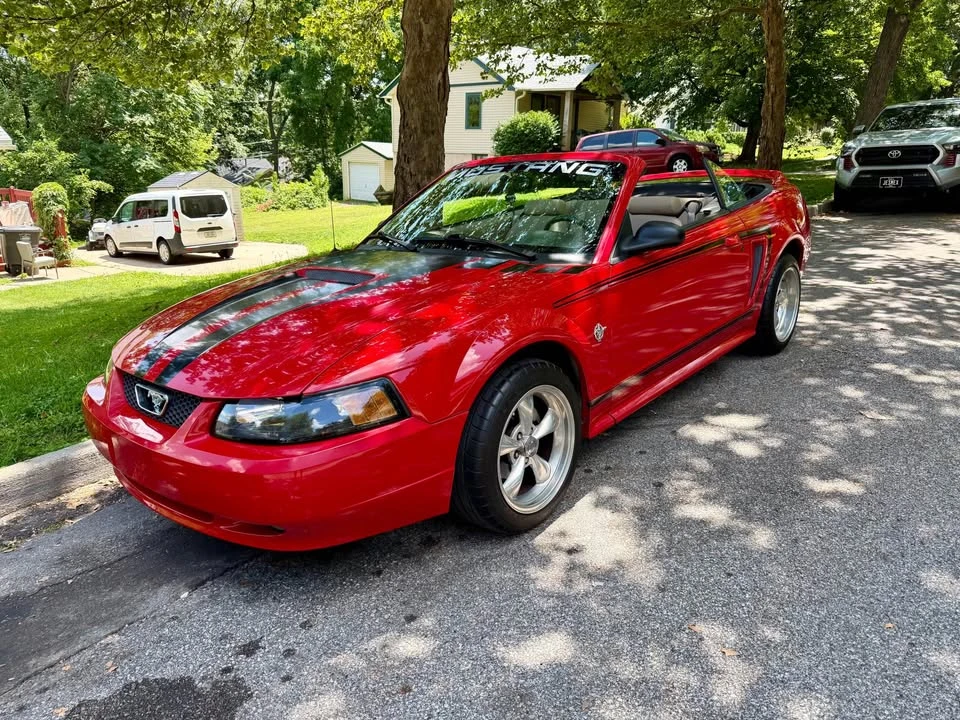 1999 Ford SN95 Mustang - Image 12 of 18