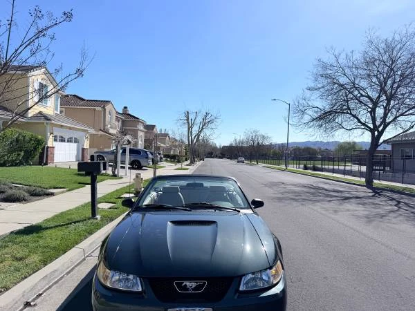 1999 Ford SN95 Mustang - Image 5 of 17