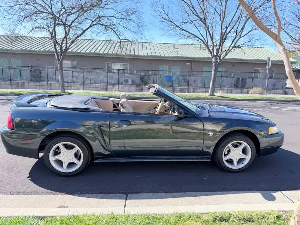 1999 Ford SN95 Mustang - Image 2 of 17