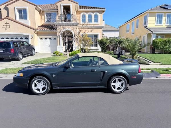 1999 Ford SN95 Mustang - Image 12 of 17