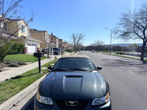 1999 Ford SN95 Mustang - Image 13 of 17