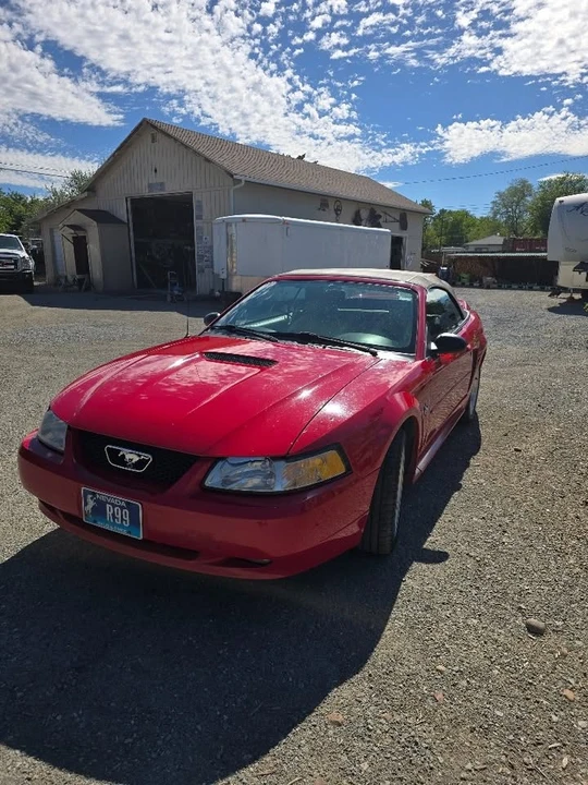 1999 Ford SN95 Mustang - Image 3 of 8