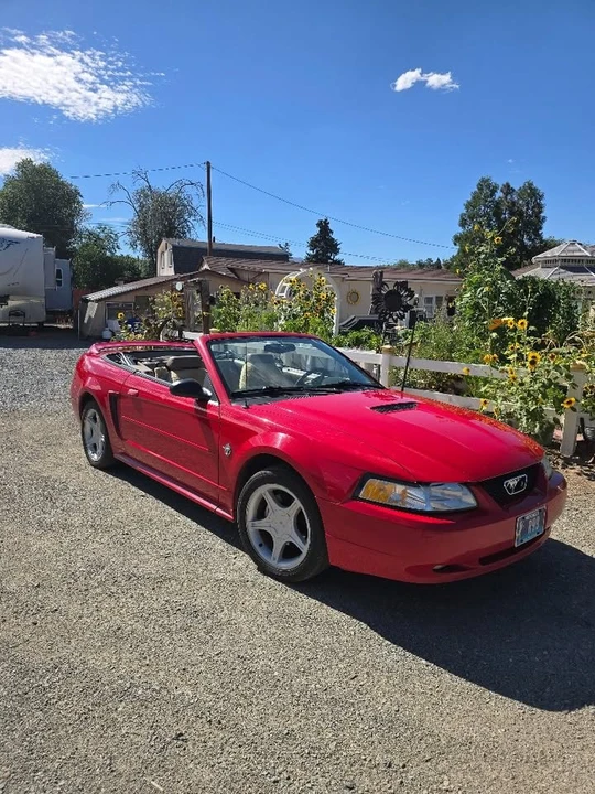 1999 Ford SN95 Mustang - Image 5 of 8